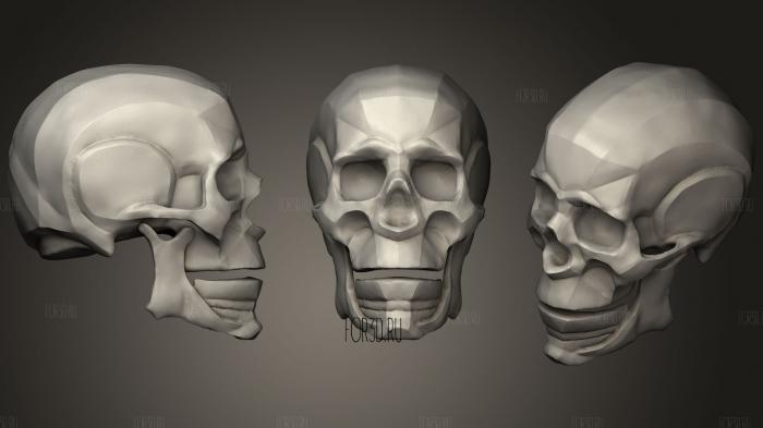 Абстрактная практика черепа 3d stl модель для ЧПУ